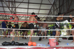 Krabi- Traditionelles Thaibox-Training und Fitness-Camp